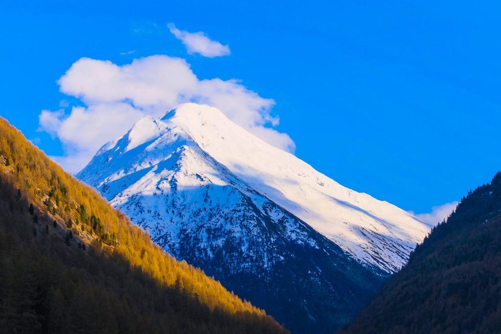 Апартаменты Monte Rosa Саас-Грунд Экстерьер фото